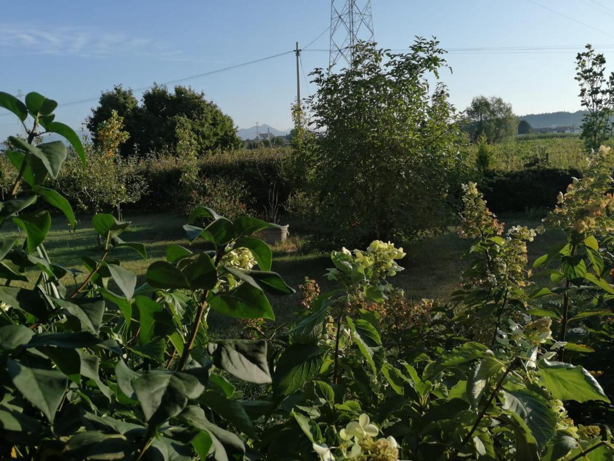 Ca' Blanca Bed and Breakfast Castelnuovo del Garda Εξωτερικό φωτογραφία