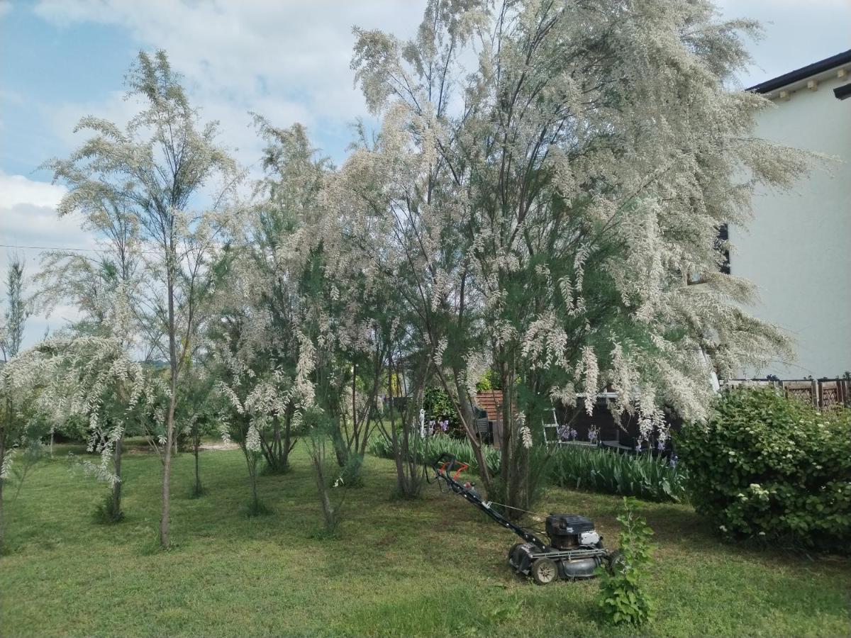 Ca' Blanca Bed and Breakfast Castelnuovo del Garda Εξωτερικό φωτογραφία